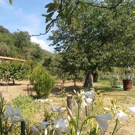 בית אירוח Roman Bridge Of רקו