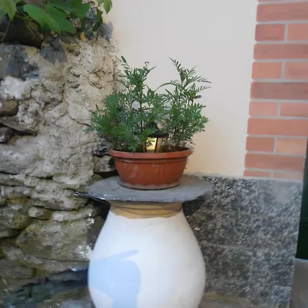 Roman Bridge Of Homestay szállás *